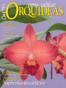 Como Cultivar Orquídeas