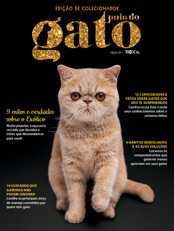 Pulo do Gato