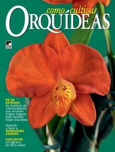 Como Cultivar Orquídeas