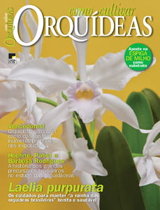 Como Cultivar Orquídeas