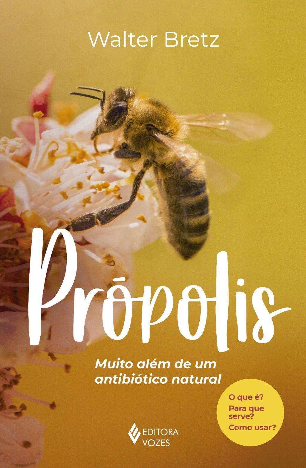 Própolis