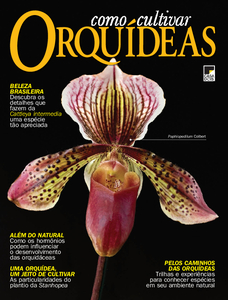 Como Cultivar Orquídeas