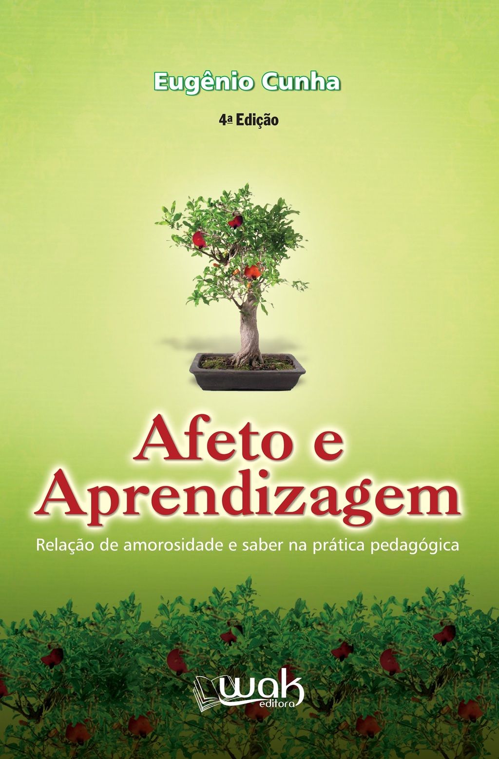 Afeto e aprendizagem