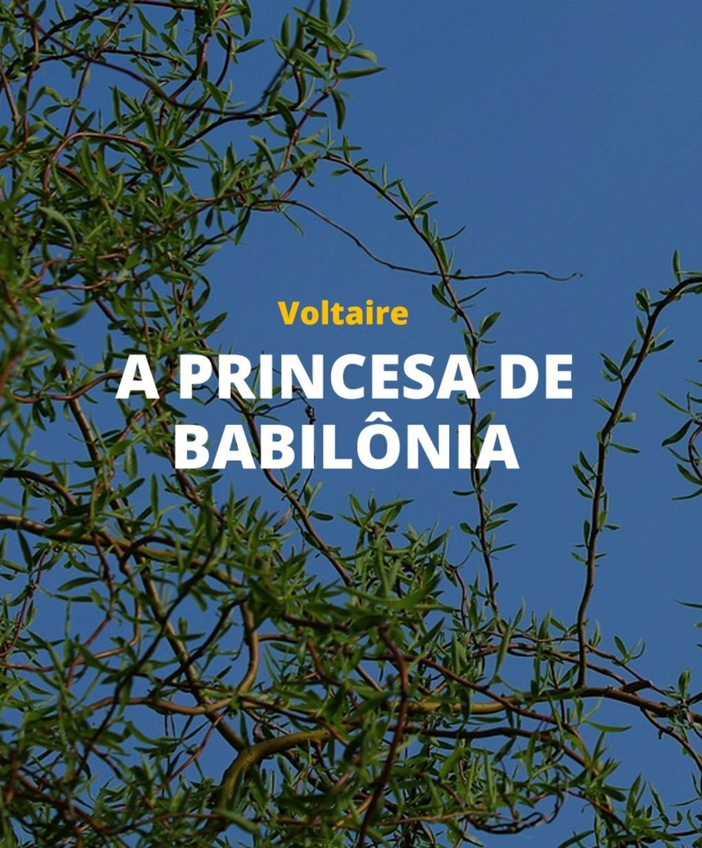 A Princesa de Babilônia