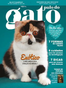 Pulo do Gato