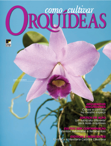 Como Cultivar Orquídeas