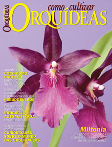 Como Cultivar Orquídeas