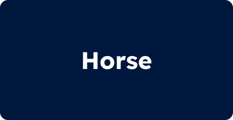 Logo Horse