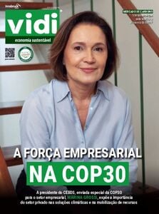 Vidi