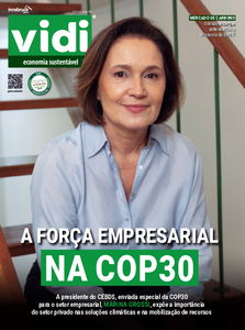 Vidi