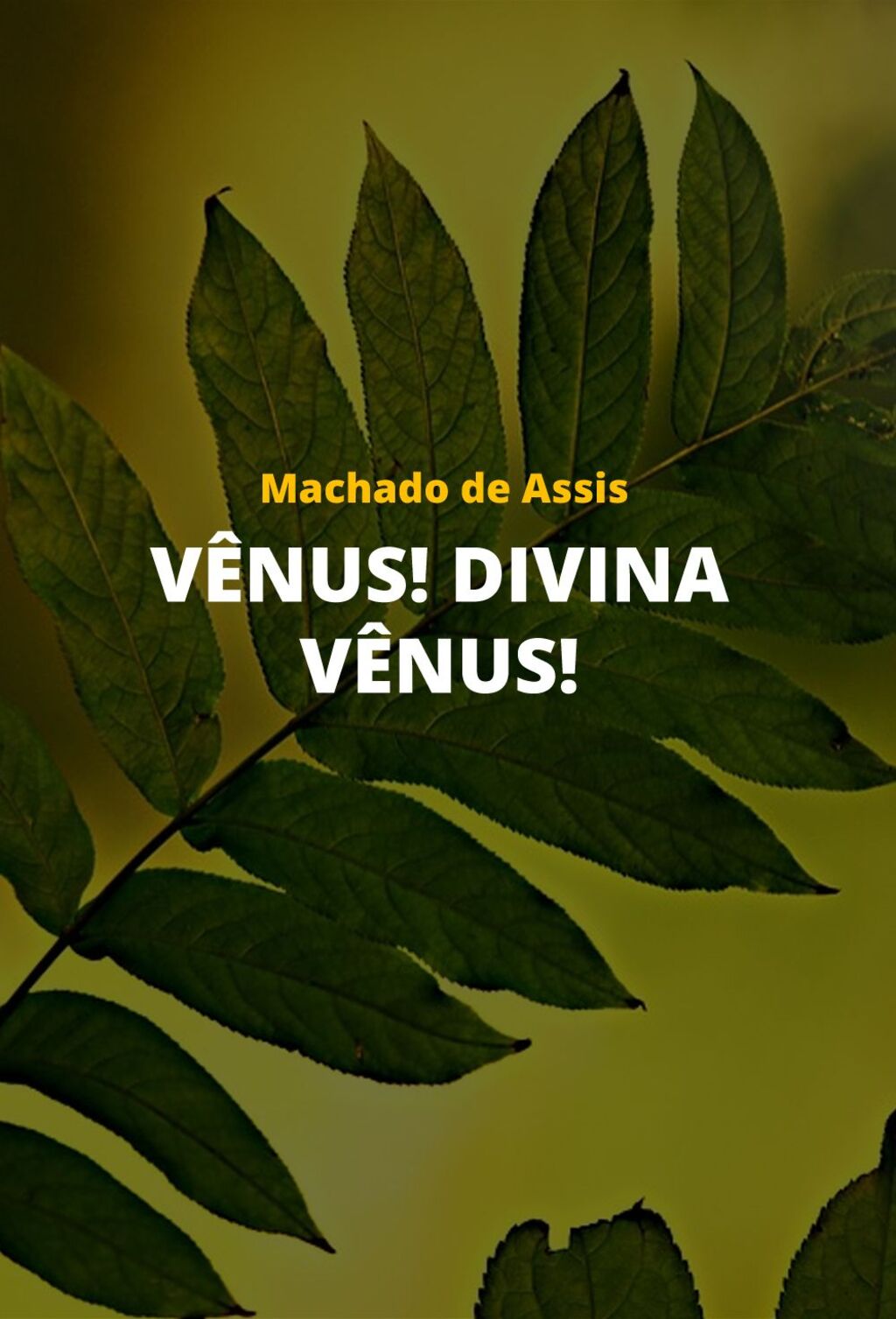 Vênus! Divina Vênus!