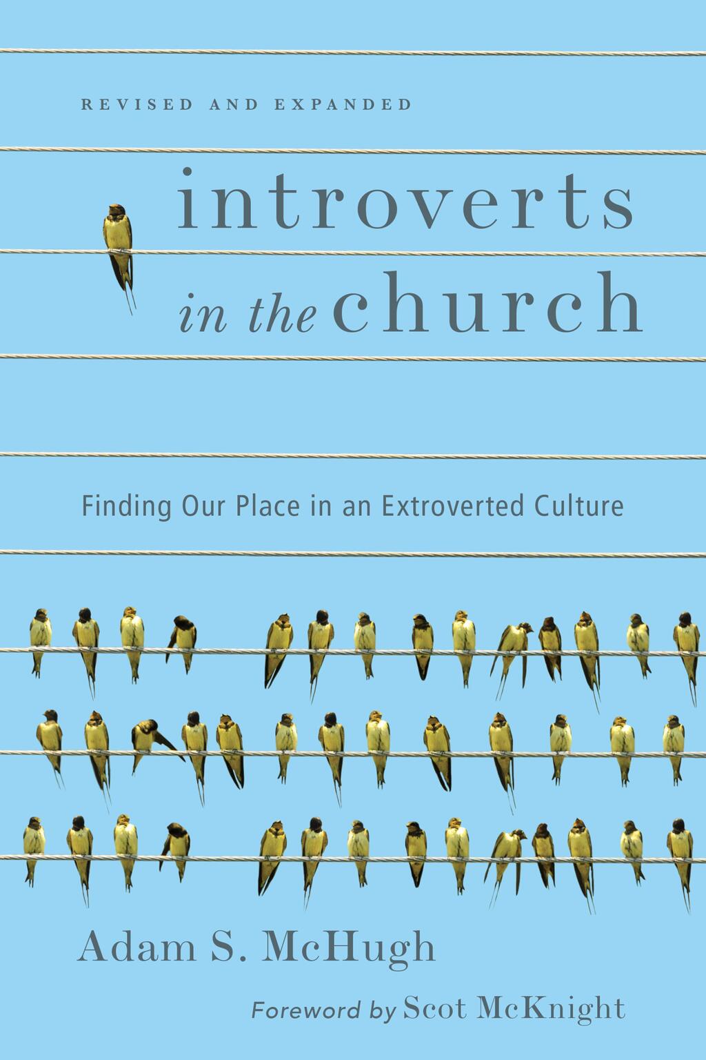 Introverts in the Church