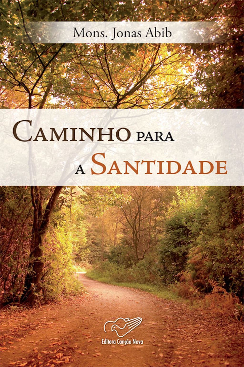 Caminho para Santidade