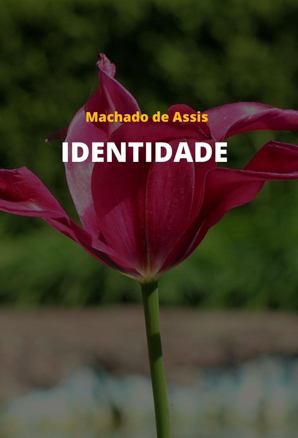 Identidade