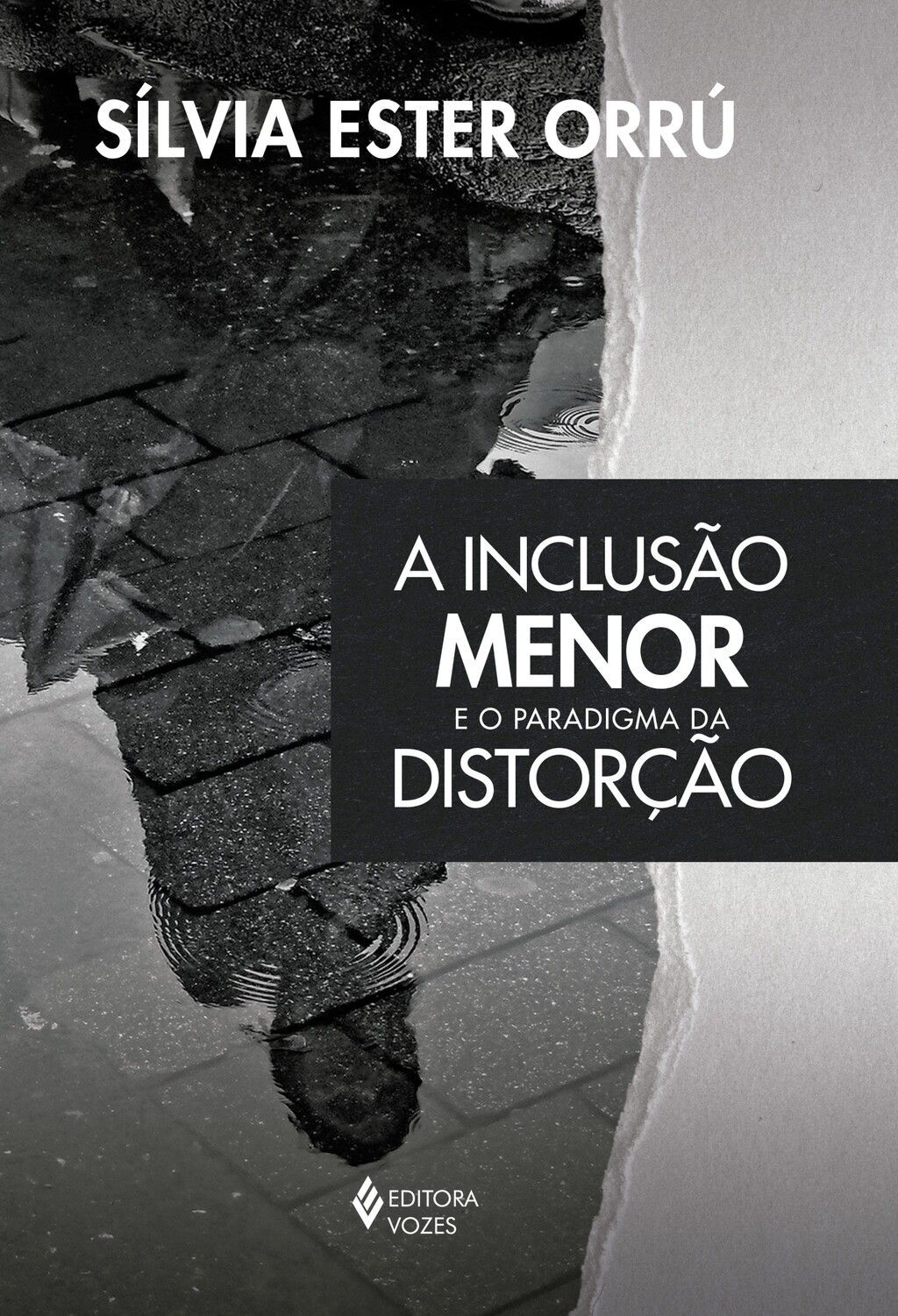 A Inclusão menor e o paradigma da distorção