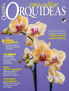 Como Cultivar Orquídeas