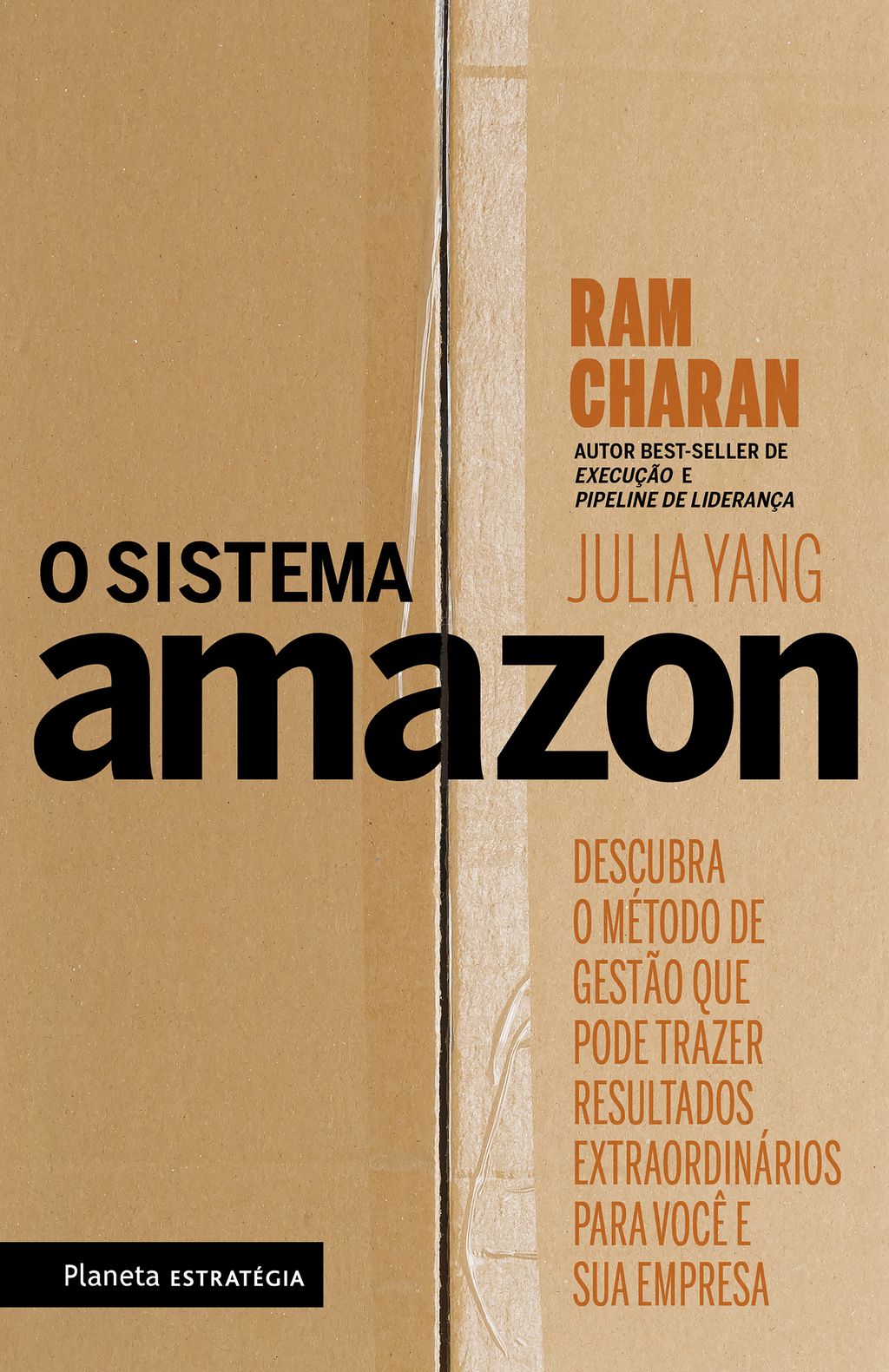 O sistema Amazon