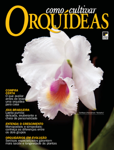Como Cultivar Orquídeas