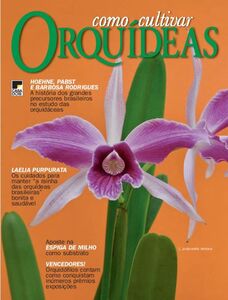 Como Cultivar Orquídeas