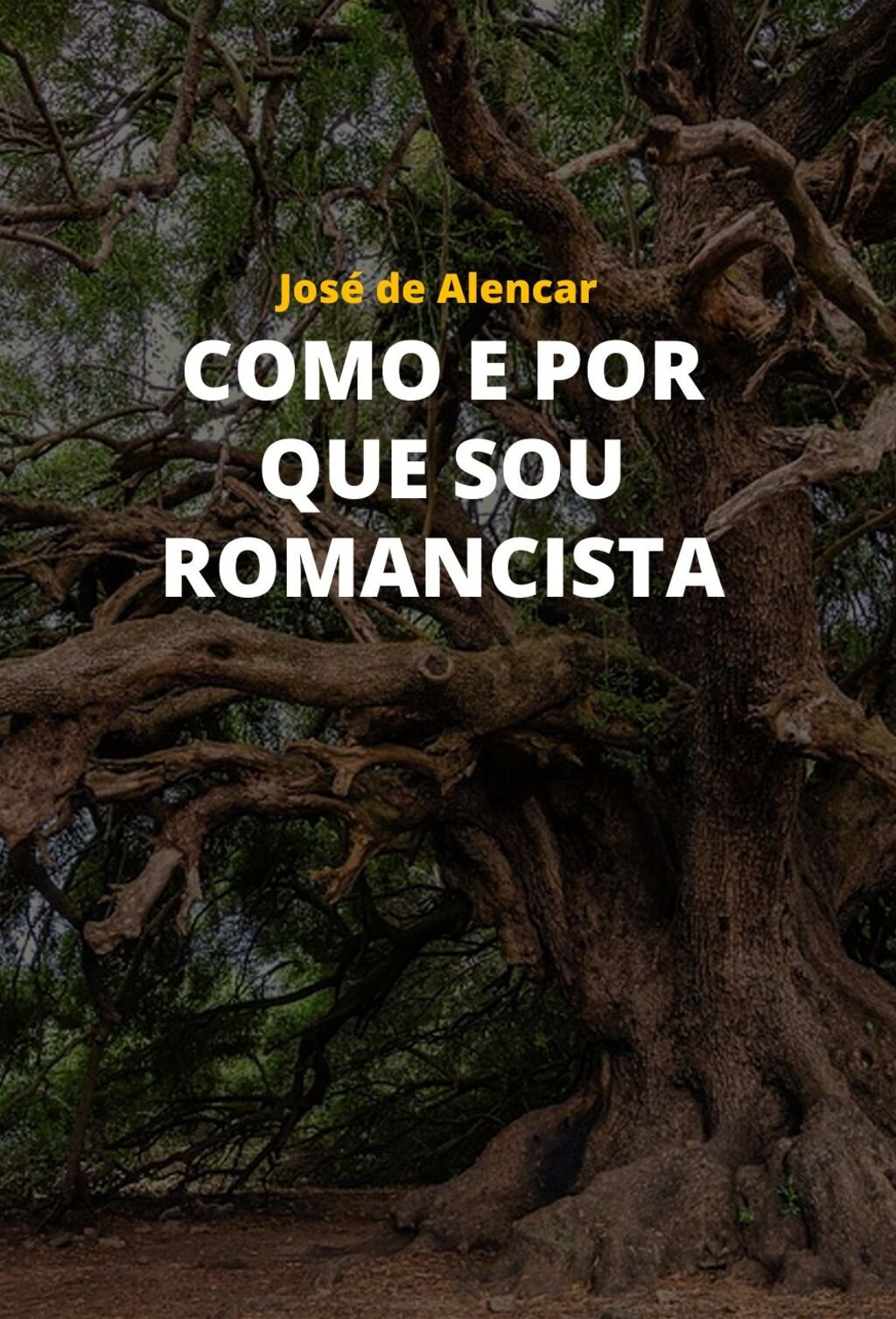 Como e por que sou Romancista