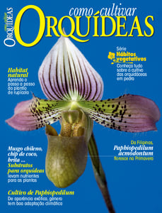 Como Cultivar Orquídeas