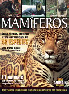 Conhecer Fantástico Conhecer Fantástico