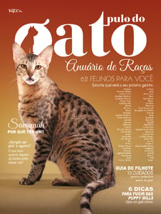 Pulo do Gato