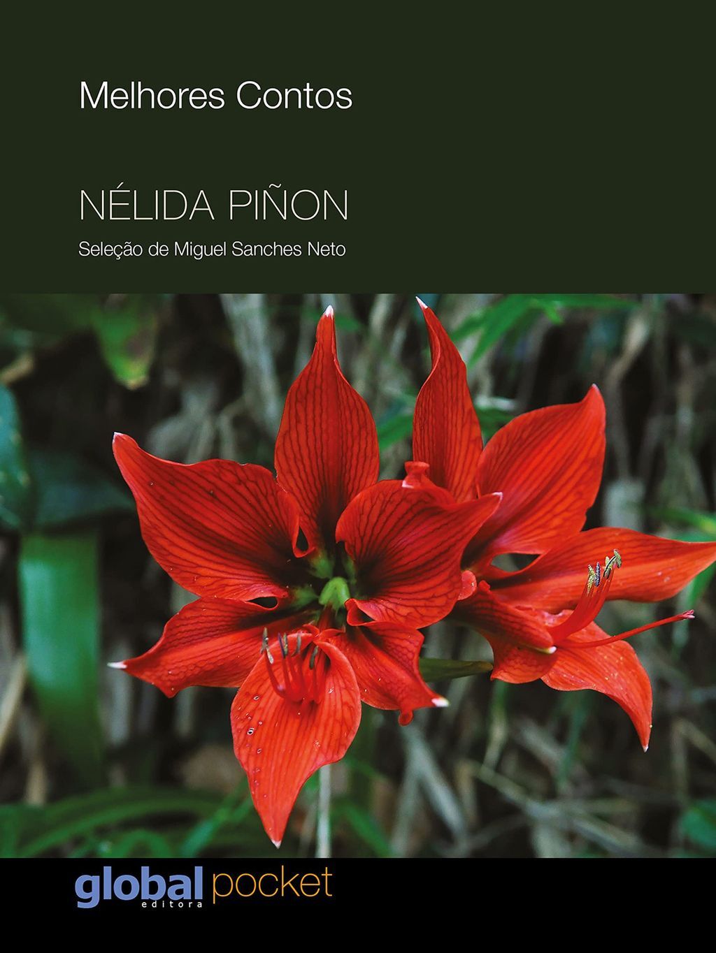 Melhores Contos Nelida Piñon