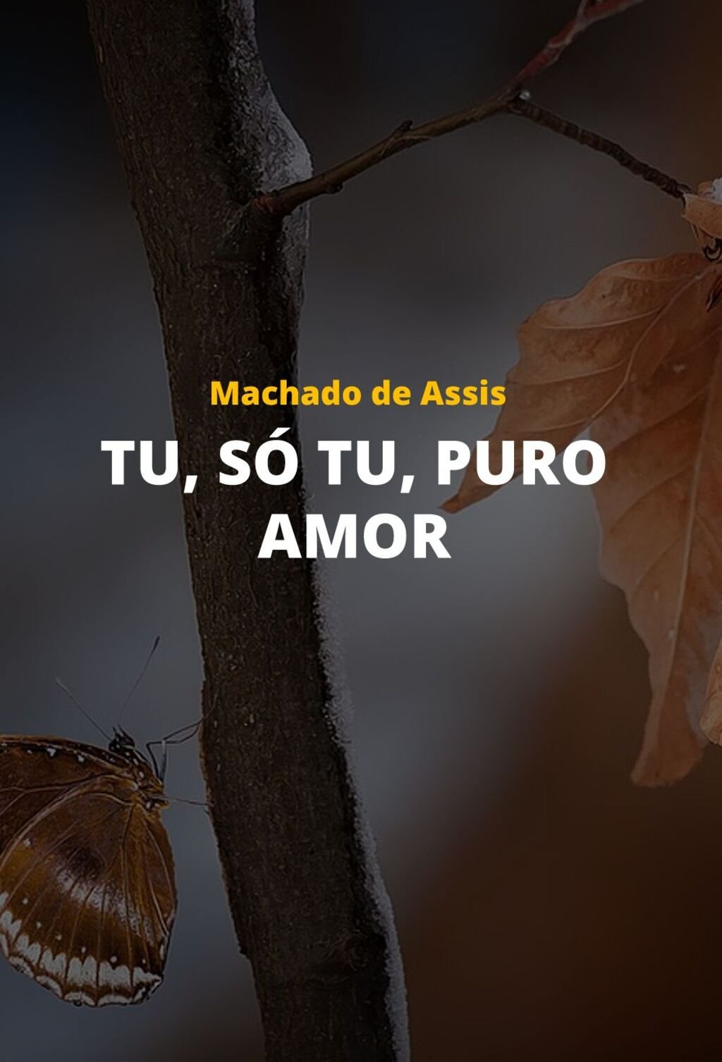 Tu, só tu, puro amor