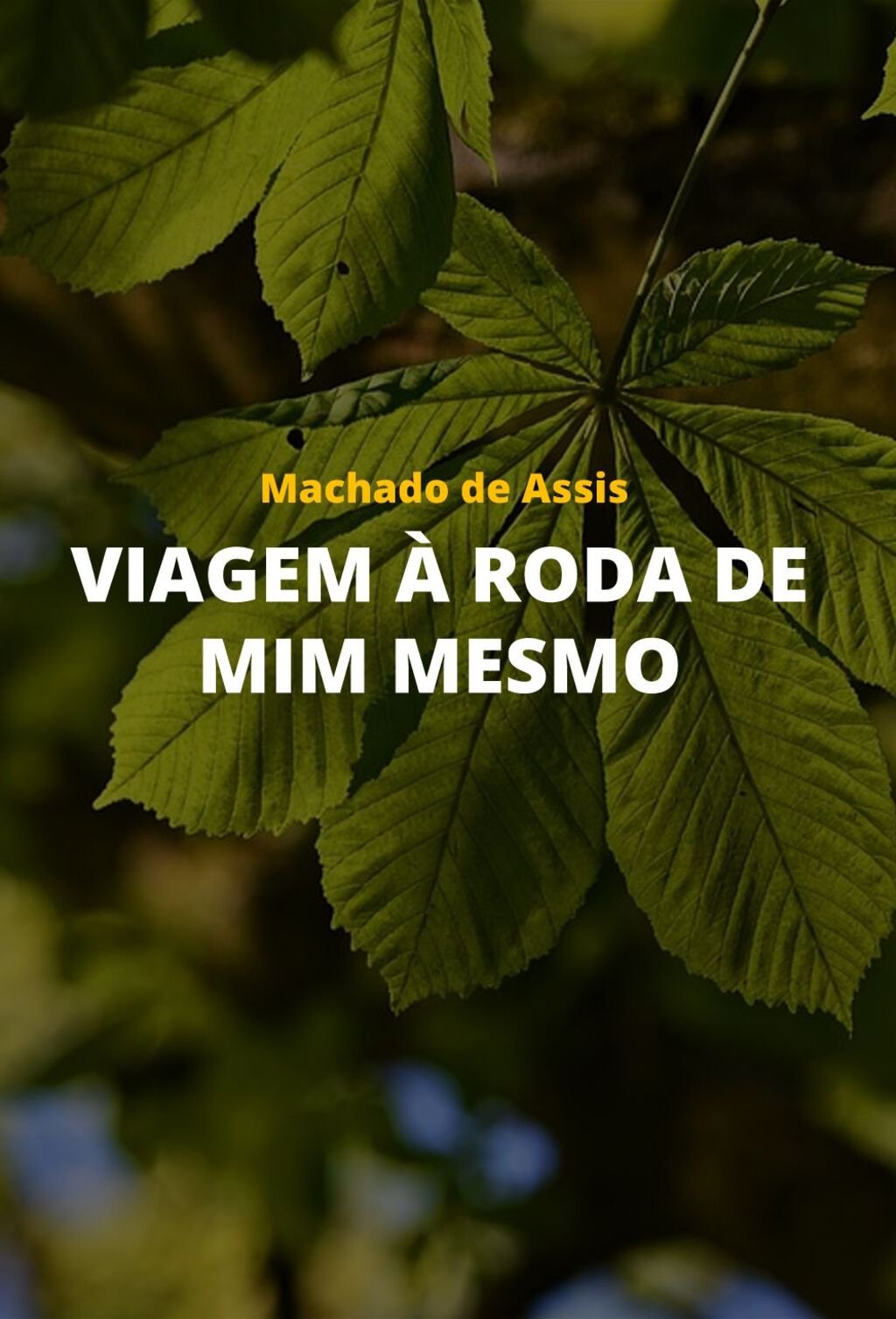 Viagem à roda de mim mesmo