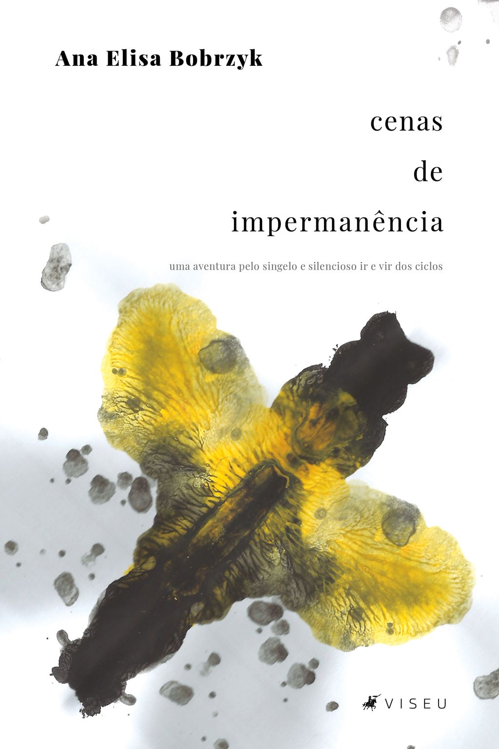 Cenas de Impermanência