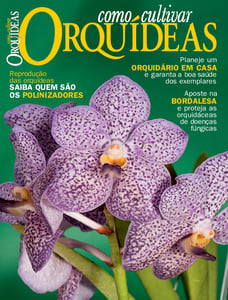 Como Cultivar Orquídeas