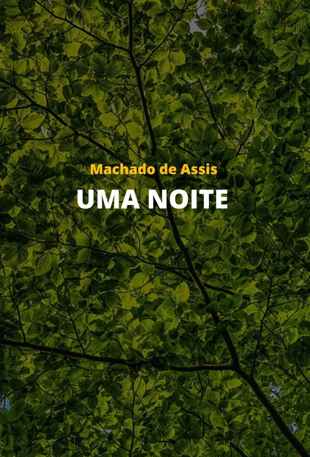 Uma noite