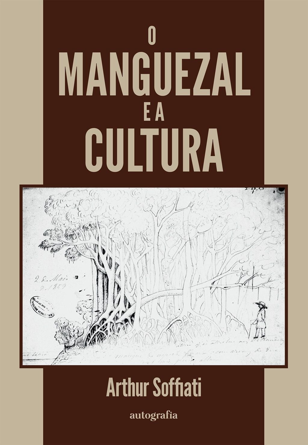 O Manguezal e a Cultura