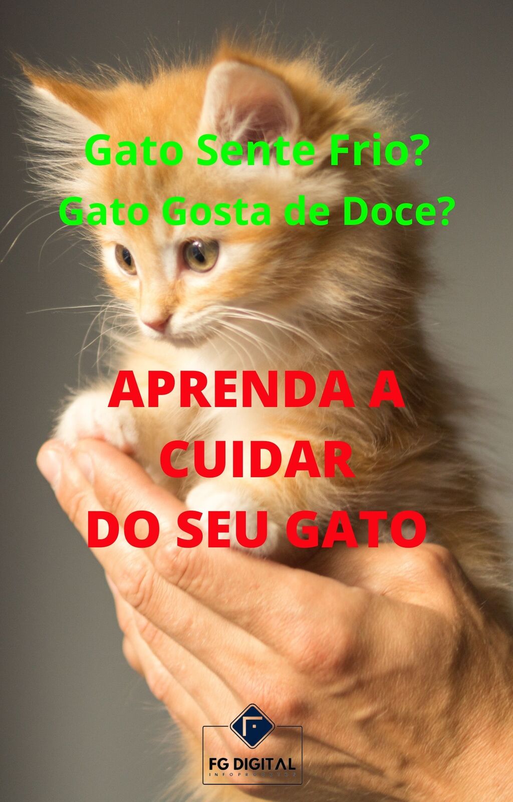 Aprenda a cuidar do seu gato