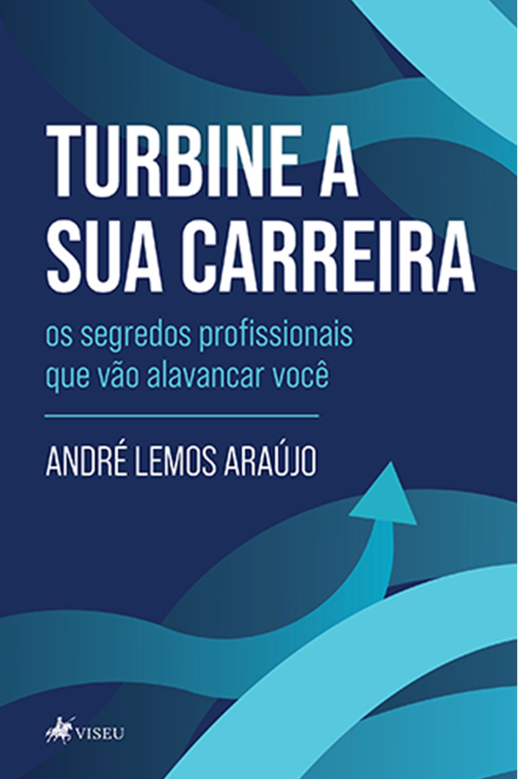 Turbine a sua carreira