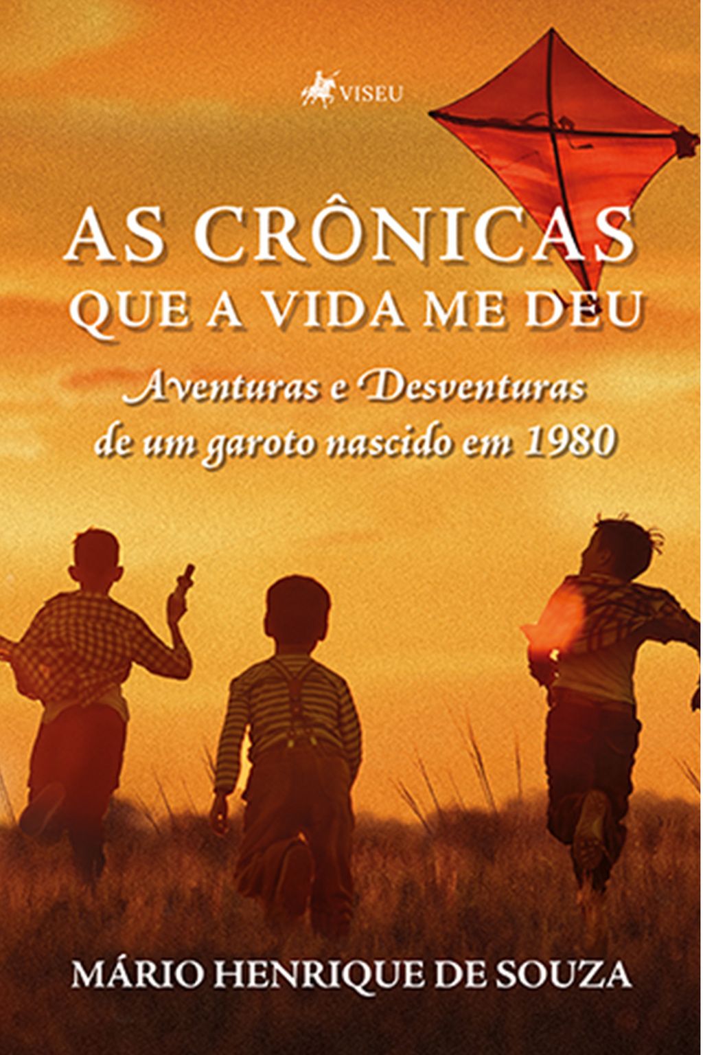 As crônicas que a vida me deu