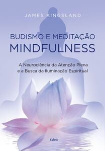 Budismo e Meditação Mindfulness