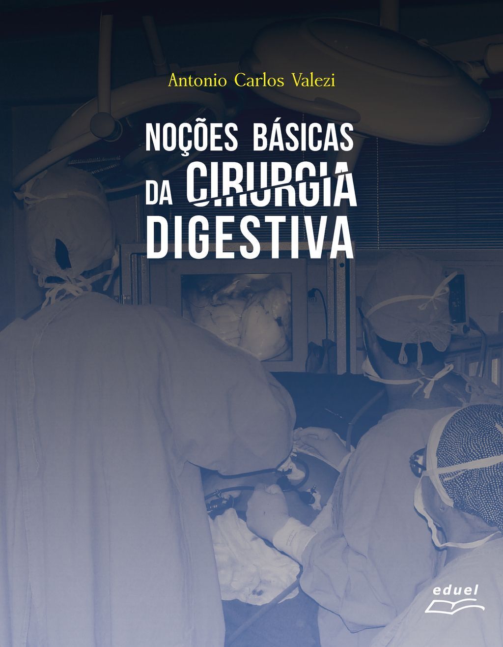 Noções básicas da cirurgia digestiva