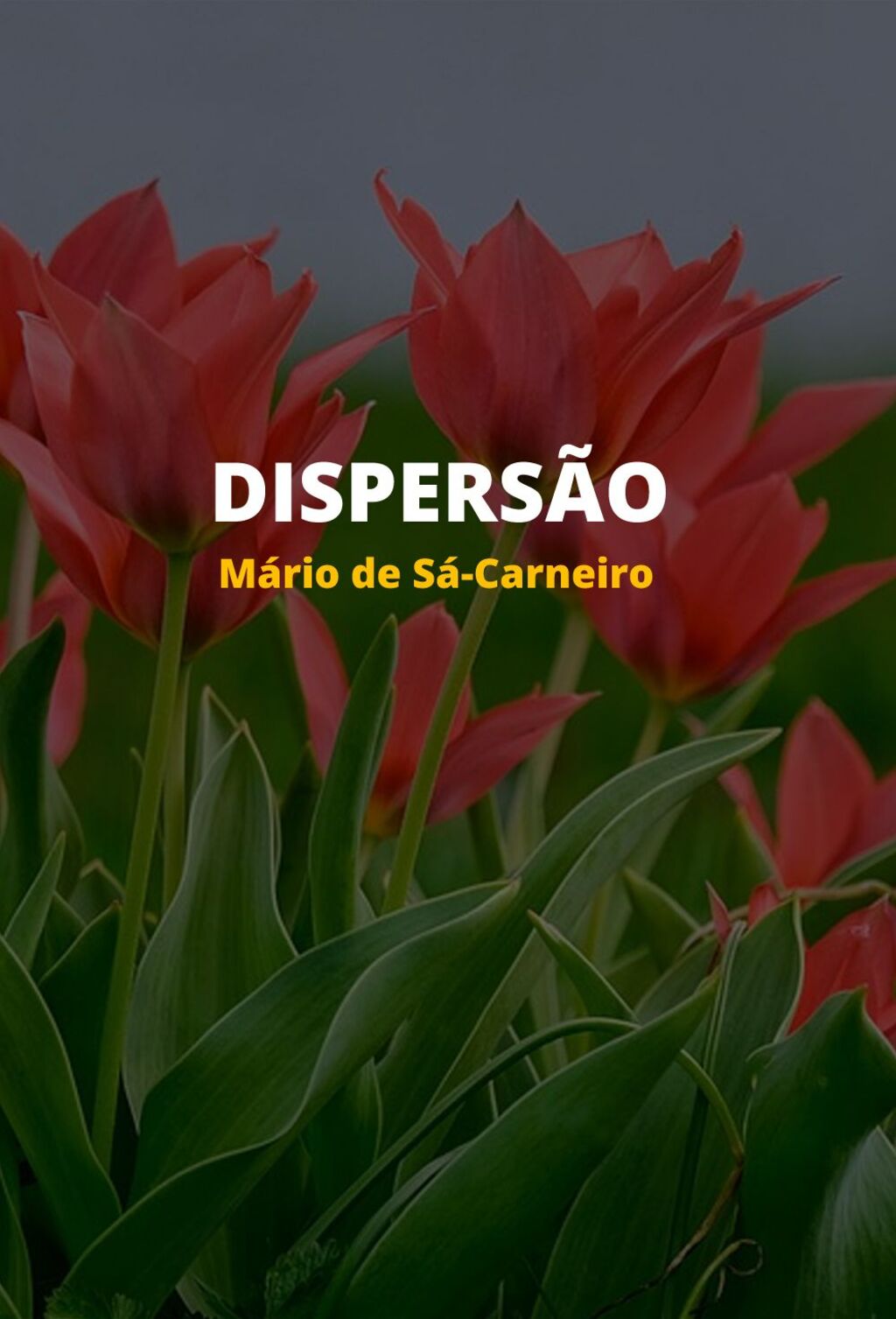 Dispersão