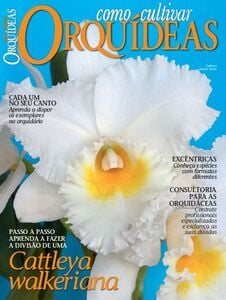 Como Cultivar Orquídeas