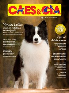 Cães e Cia