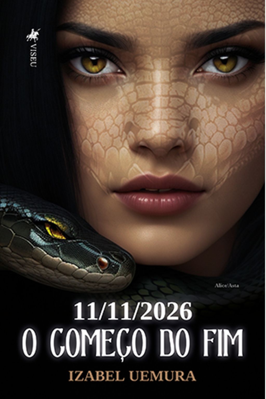 11/11/2026