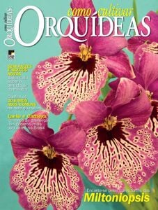 Como Cultivar Orquídeas