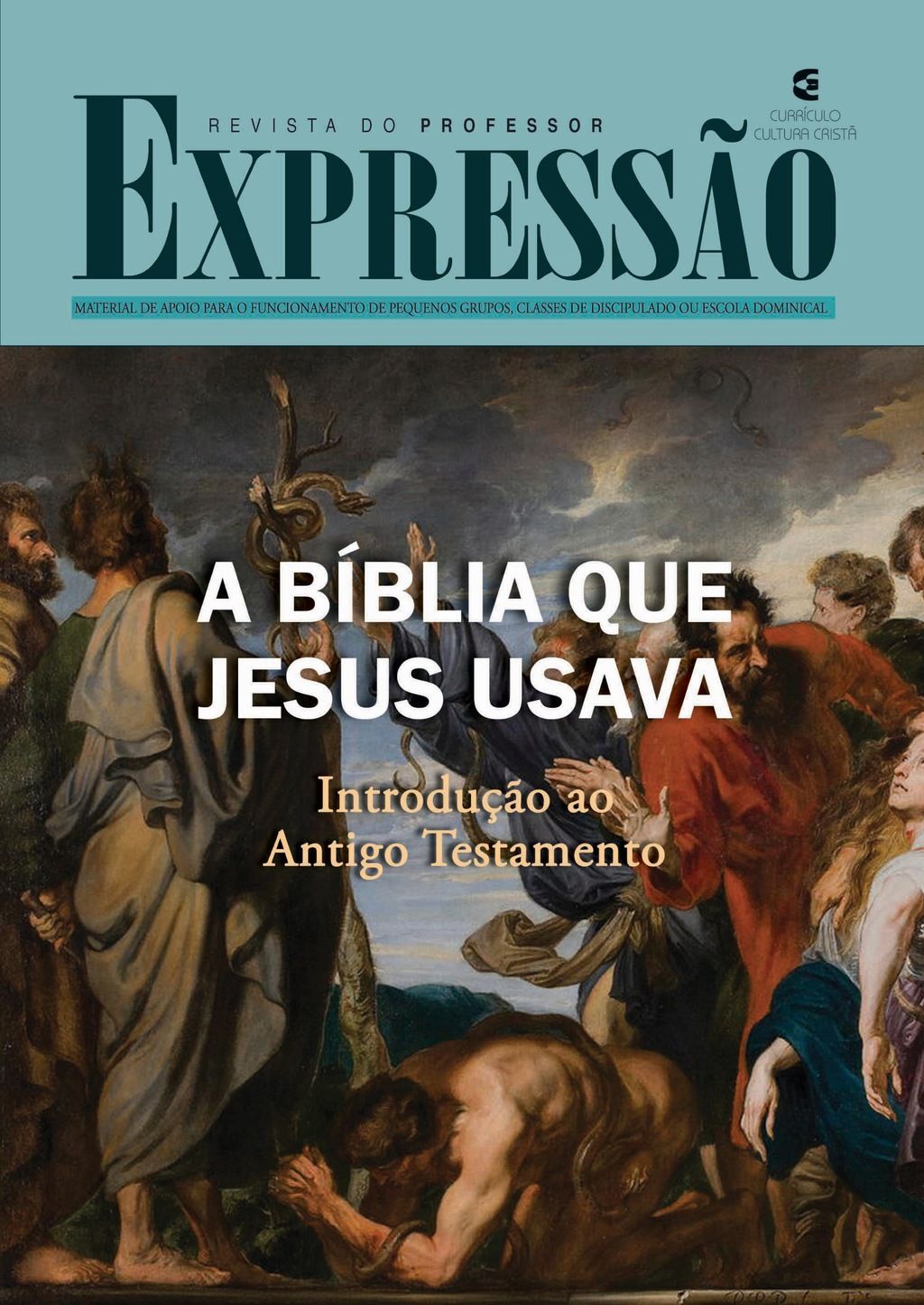 A Bíblia que Jesus usava: professor