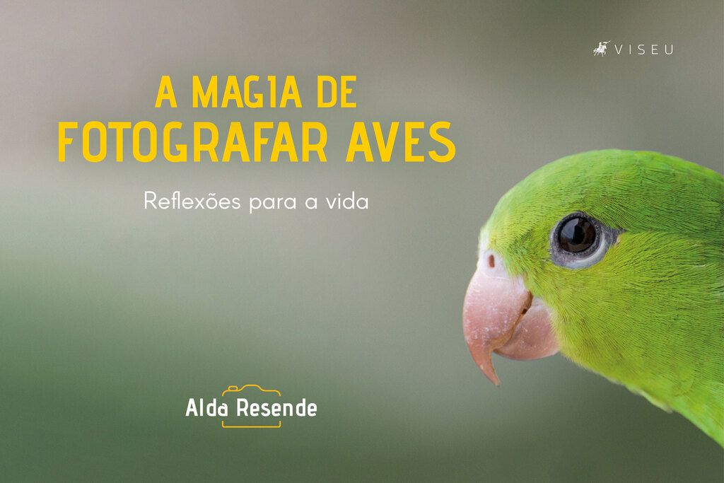 A magia de fotografar aves