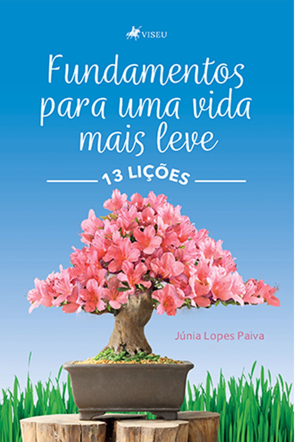 13 lições