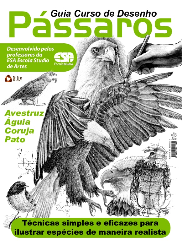 Guia Curso de Desenho