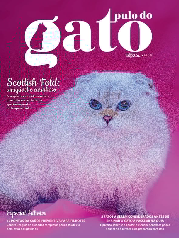 Pulo do Gato