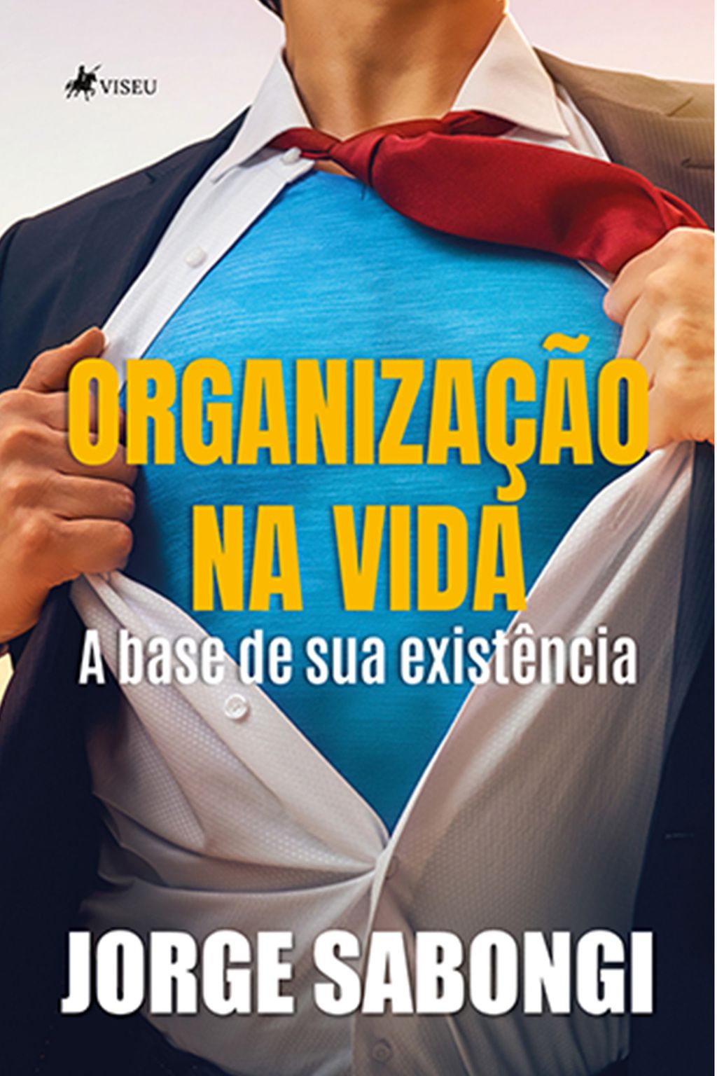 Organização na Vida